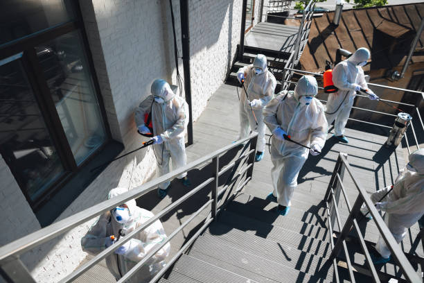 Best HVAC Mold Inspection and Cleaning  in Benjamin, UT