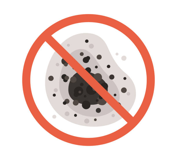 Best Dehumidification Services  in Benjamin, UT